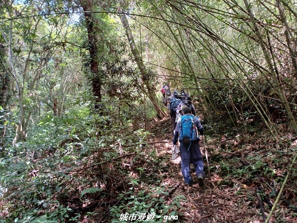 【南投信義】望鄉部落抬頭見玉山。 獵人古道連走、望美山、瓊山