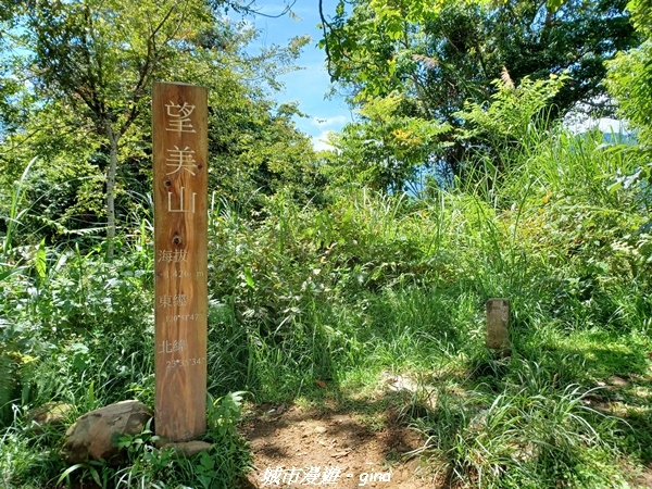 【南投信義】望鄉部落抬頭見玉山。 獵人古道連走、望美山、瓊山
