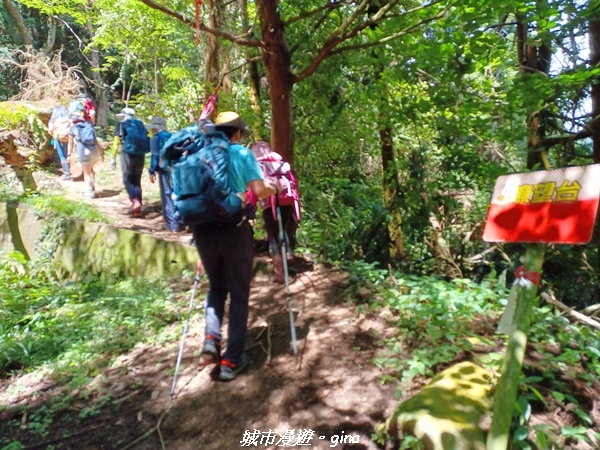 【南投信義】望鄉部落抬頭見玉山。 獵人古道連走、望美山、瓊山