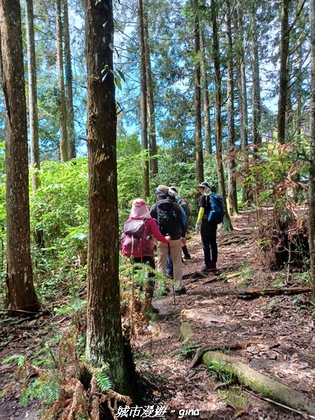 【南投信義】望鄉部落抬頭見玉山。 獵人古道連走、望美山、瓊山