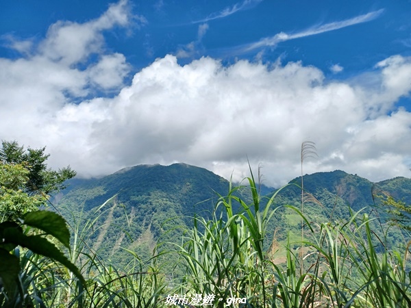 【南投信義】望鄉部落抬頭見玉山。 獵人古道連走、望美山、瓊山