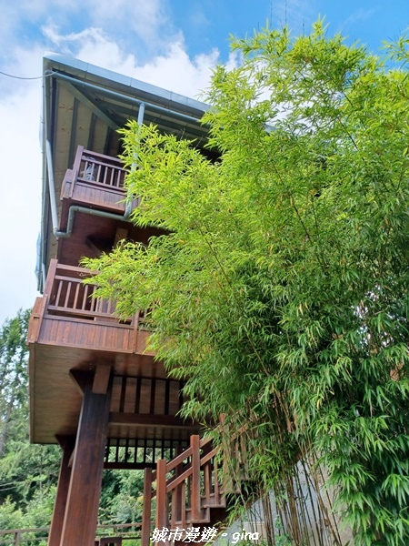 【南投信義】望鄉部落抬頭見玉山。 獵人古道連走、望美山、瓊山