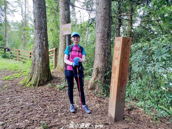 【南投信義】望鄉部落抬頭見玉山。 獵人古道連走、望美山、瓊山