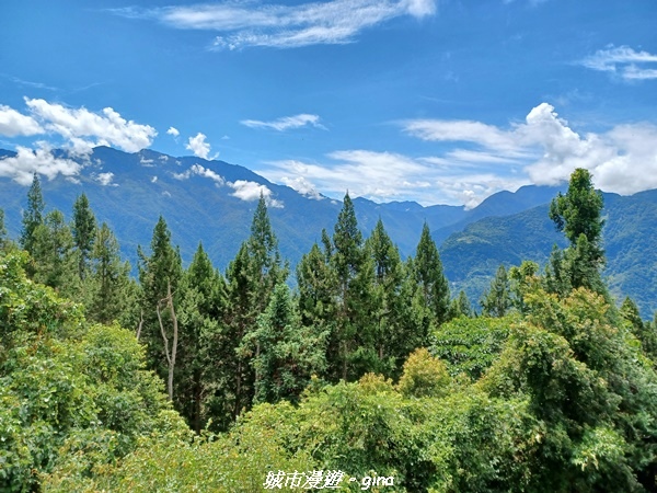 【南投信義】望鄉部落抬頭見玉山。 獵人古道連走、望美山、瓊山