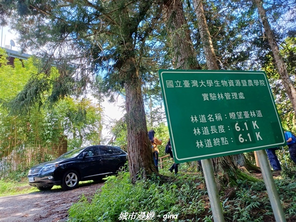 【南投信義】望鄉部落抬頭見玉山。 獵人古道連走、望美山、瓊山