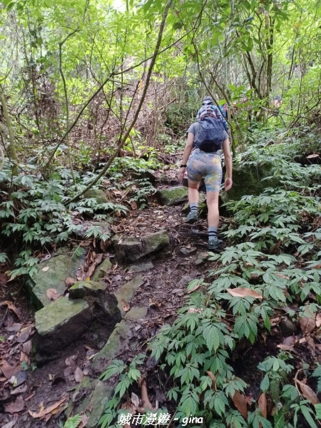 【南投信義】望鄉部落抬頭見玉山。 獵人古道連走、望美山、瓊山