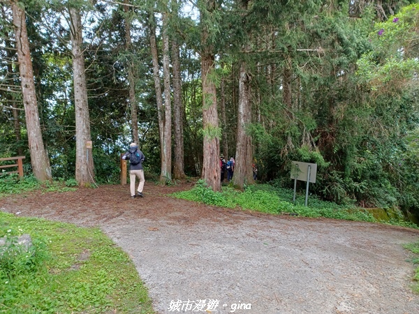 【南投信義】望鄉部落抬頭見玉山。 獵人古道連走、望美山、瓊山
