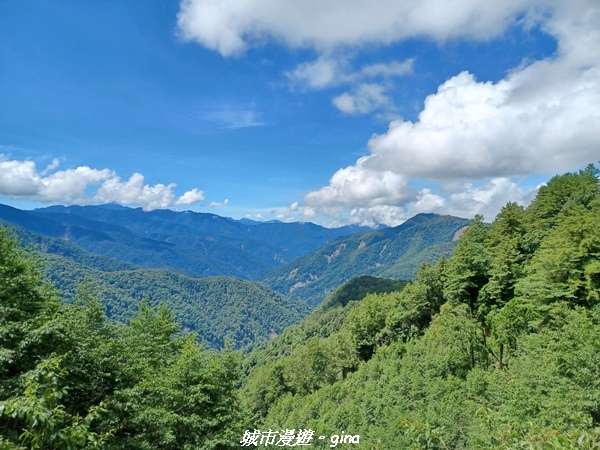 【嘉義縣阿里山鄉】避暑山林芬多精。 石山引水道步道、鹿林前山