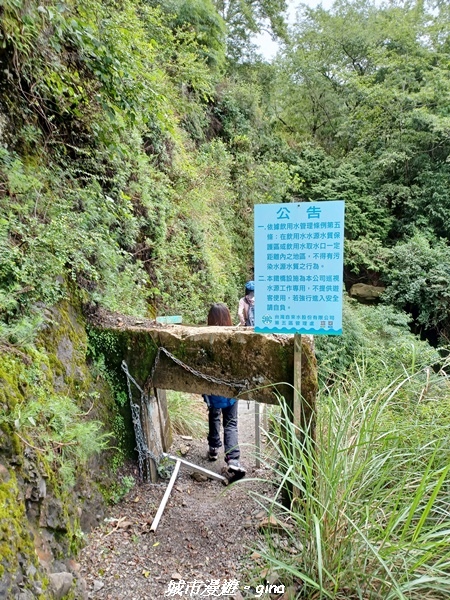 【嘉義縣阿里山鄉】避暑山林芬多精。 石山引水道步道、鹿林前山