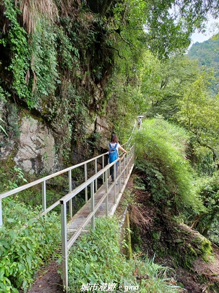 【嘉義縣阿里山鄉】避暑山林芬多精。 石山引水道步道、鹿林前山