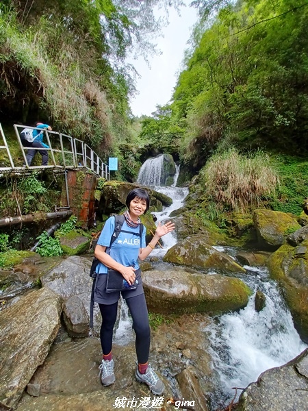 【嘉義縣阿里山鄉】避暑山林芬多精。 石山引水道步道、鹿林前山