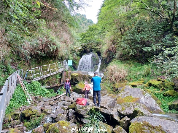 【嘉義縣阿里山鄉】避暑山林芬多精。 石山引水道步道、鹿林前山