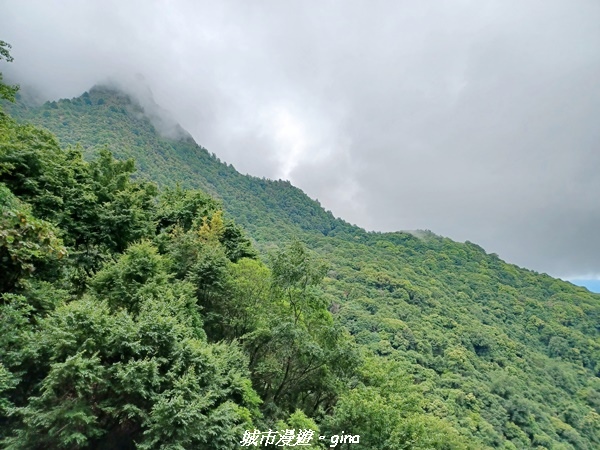 【嘉義縣阿里山鄉】避暑山林芬多精。 石山引水道步道、鹿林前山