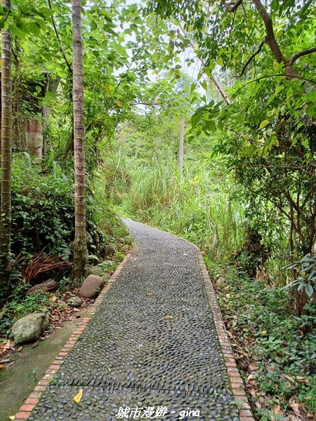 【台中北屯】雲淡風輕。 大坑二號步道連走頭嵙山