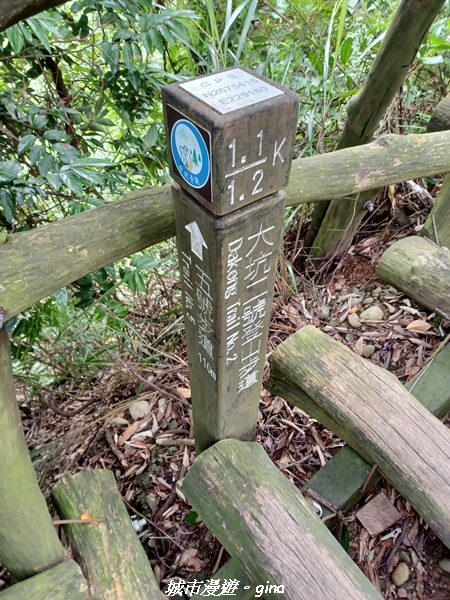 【台中北屯】雲淡風輕。 大坑二號步道連走頭嵙山