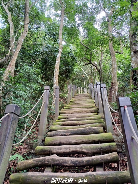【台中北屯】雲淡風輕。 大坑二號步道連走頭嵙山