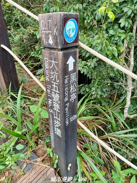 【台中北屯】雲淡風輕。 大坑二號步道連走頭嵙山