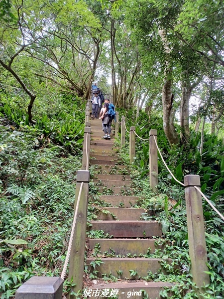 【台中北屯】雲淡風輕。 大坑二號步道連走頭嵙山