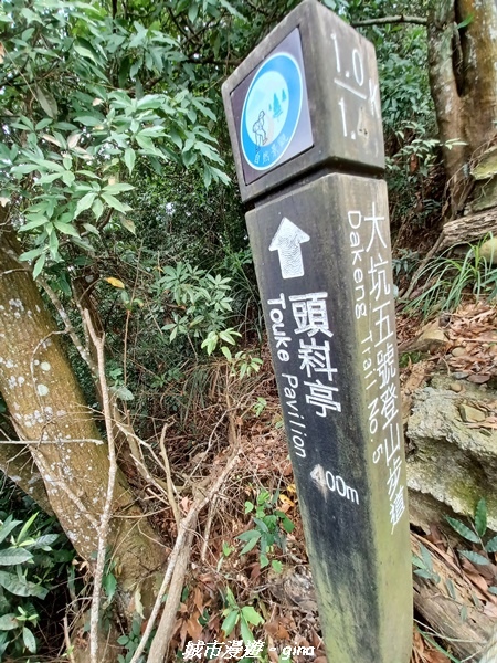 【台中北屯】雲淡風輕。 大坑二號步道連走頭嵙山