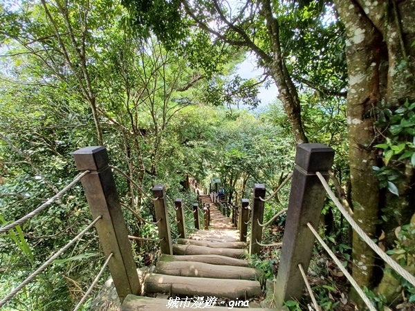 【台中北屯】雲淡風輕。 大坑二號步道連走頭嵙山