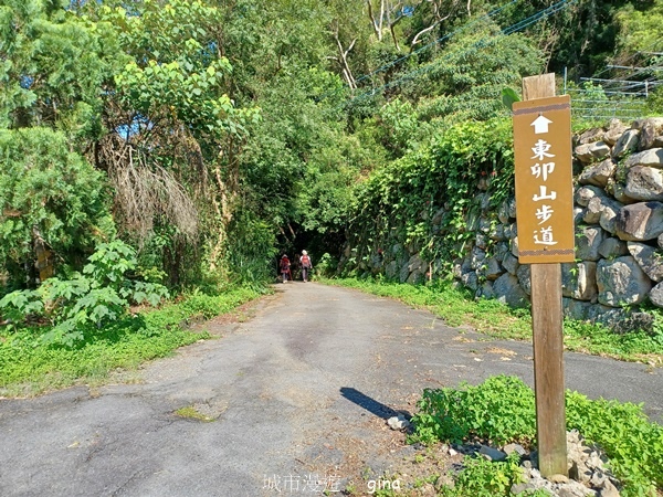 【台中和平】台灣百大必訪步道~谷關七雄-東卯山步道