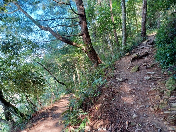【台中和平】台灣百大必訪步道~谷關七雄-東卯山步道 【台中和平】台灣百大必訪步道~谷關七雄-東卯山步道