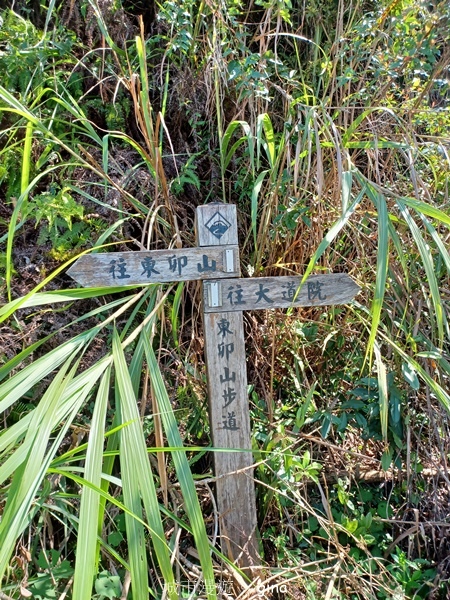 【台中和平】台灣百大必訪步道~谷關七雄-東卯山步道