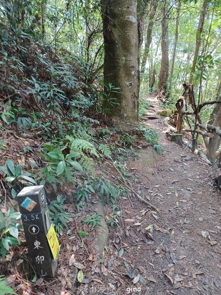 【台中和平】台灣百大必訪步道~谷關七雄-東卯山步道 【台中和平】台灣百大必訪步道~谷關七雄-東卯山步道
