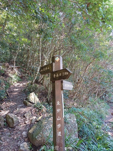 【台中和平】台灣百大必訪步道~谷關七雄-東卯山步道 【台中和平】台灣百大必訪步道~谷關七雄-東卯山步道