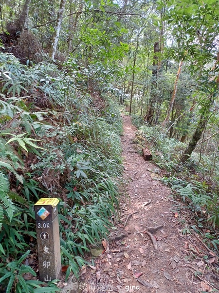 【台中和平】台灣百大必訪步道~谷關七雄-東卯山步道 【台中和平】台灣百大必訪步道~谷關七雄-東卯山步道