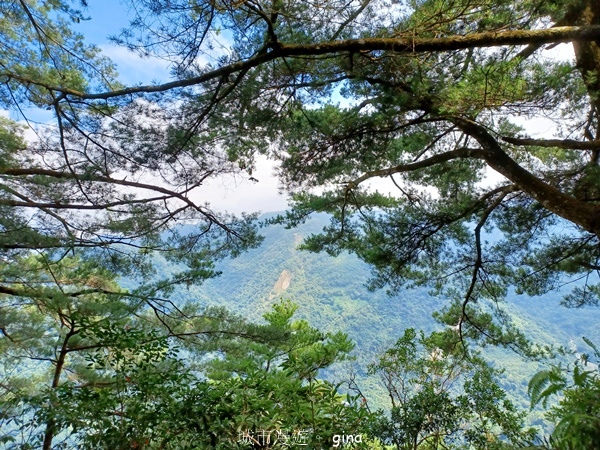 【台中和平】台灣百大必訪步道~谷關七雄-東卯山步道