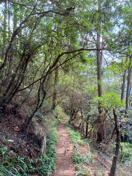 【台中和平】台灣百大必訪步道~谷關七雄-東卯山步道 【台中和平】台灣百大必訪步道~谷關七雄-東卯山步道