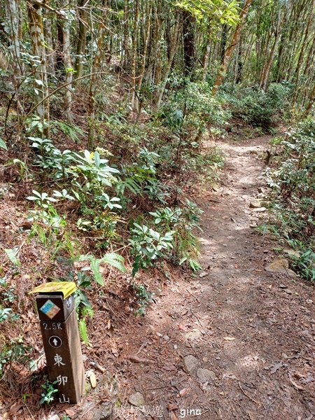 【台中和平】台灣百大必訪步道~谷關七雄-東卯山步道 【台中和平】台灣百大必訪步道~谷關七雄-東卯山步道