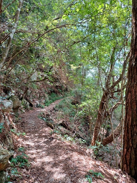 【台中和平】台灣百大必訪步道~谷關七雄-東卯山步道 【台中和平】台灣百大必訪步道~谷關七雄-東卯山步道