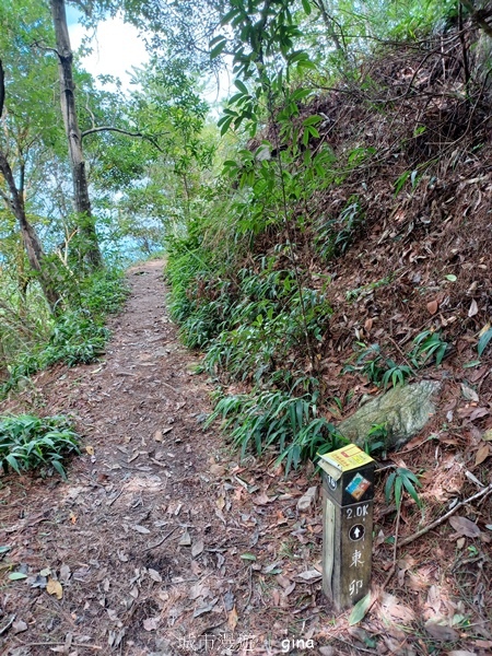 【台中和平】台灣百大必訪步道~谷關七雄-東卯山步道