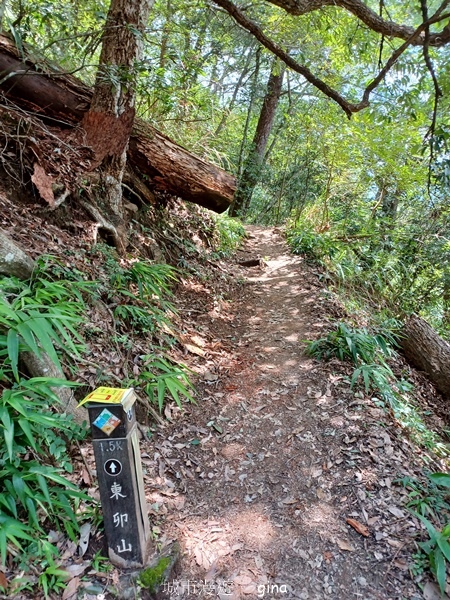【台中和平】台灣百大必訪步道~谷關七雄-東卯山步道 【台中和平】台灣百大必訪步道~谷關七雄-東卯山步道
