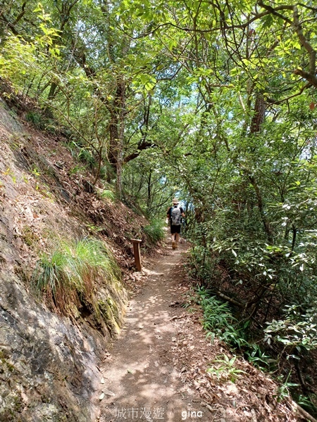 【台中和平】台灣百大必訪步道~谷關七雄-東卯山步道