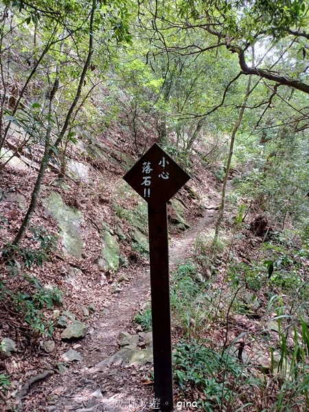 【台中和平】台灣百大必訪步道~谷關七雄-東卯山步道