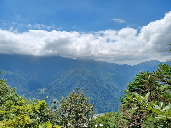 【台中和平】台灣百大必訪步道~谷關七雄-東卯山步道