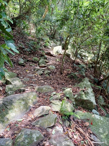 【台中和平】台灣百大必訪步道~谷關七雄-東卯山步道