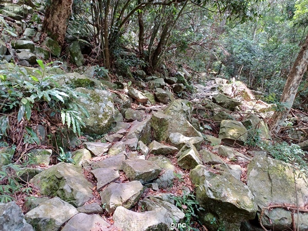 【台中和平】台灣百大必訪步道~谷關七雄-東卯山步道 【台中和平】台灣百大必訪步道~谷關七雄-東卯山步道
