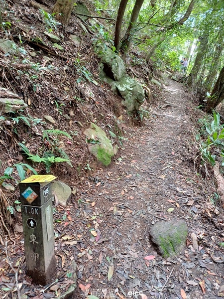 【台中和平】台灣百大必訪步道~谷關七雄-東卯山步道