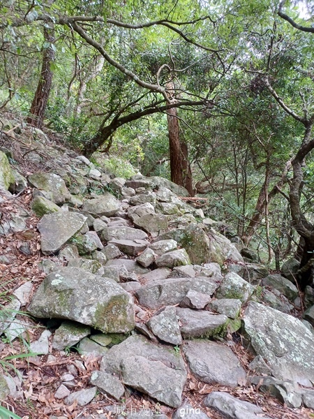 【台中和平】台灣百大必訪步道~谷關七雄-東卯山步道 【台中和平】台灣百大必訪步道~谷關七雄-東卯山步道