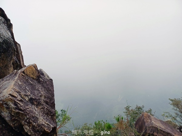 【台中和平】台灣百大必訪步道~谷關七雄-東卯山步道 【台中和平】台灣百大必訪步道~谷關七雄-東卯山步道