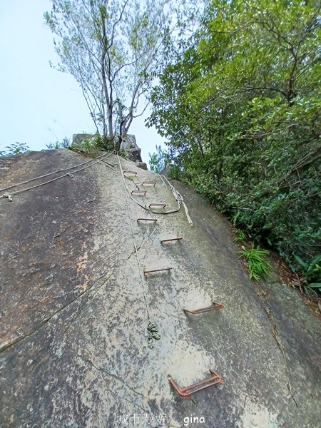 【台中和平】台灣百大必訪步道~谷關七雄-東卯山步道