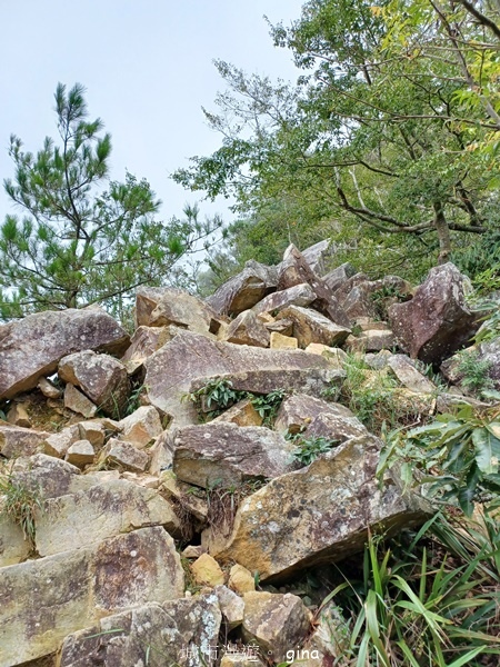 【台中和平】台灣百大必訪步道~谷關七雄-東卯山步道 【台中和平】台灣百大必訪步道~谷關七雄-東卯山步道