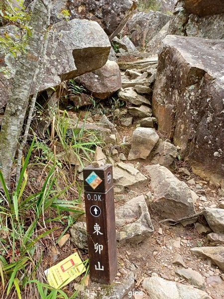 【台中和平】台灣百大必訪步道~谷關七雄-東卯山步道