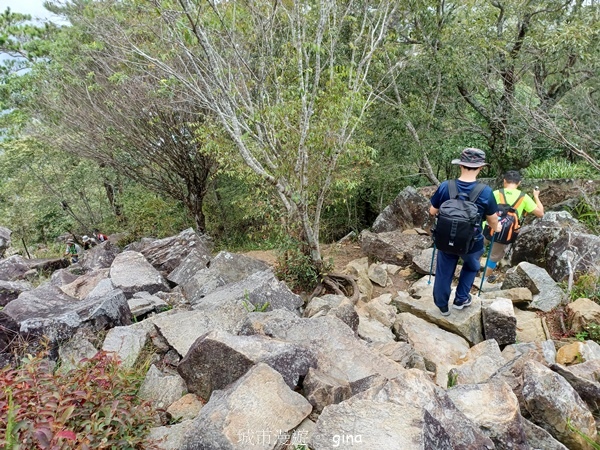 【台中和平】台灣百大必訪步道~谷關七雄-東卯山步道 【台中和平】台灣百大必訪步道~谷關七雄-東卯山步道