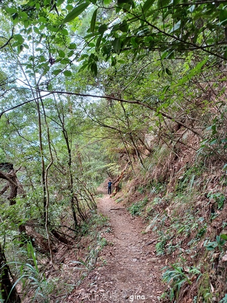 【台中和平】台灣百大必訪步道~谷關七雄-東卯山步道 【台中和平】台灣百大必訪步道~谷關七雄-東卯山步道
