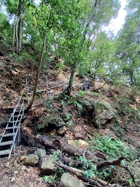 【台中和平】台灣百大必訪步道~谷關七雄-東卯山步道 【台中和平】台灣百大必訪步道~谷關七雄-東卯山步道